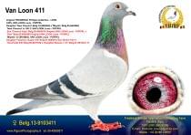 BE-13 9103411